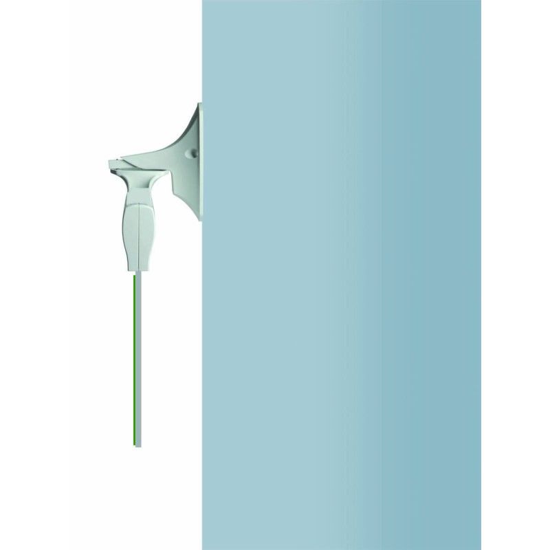 Lyra Flag feste A031